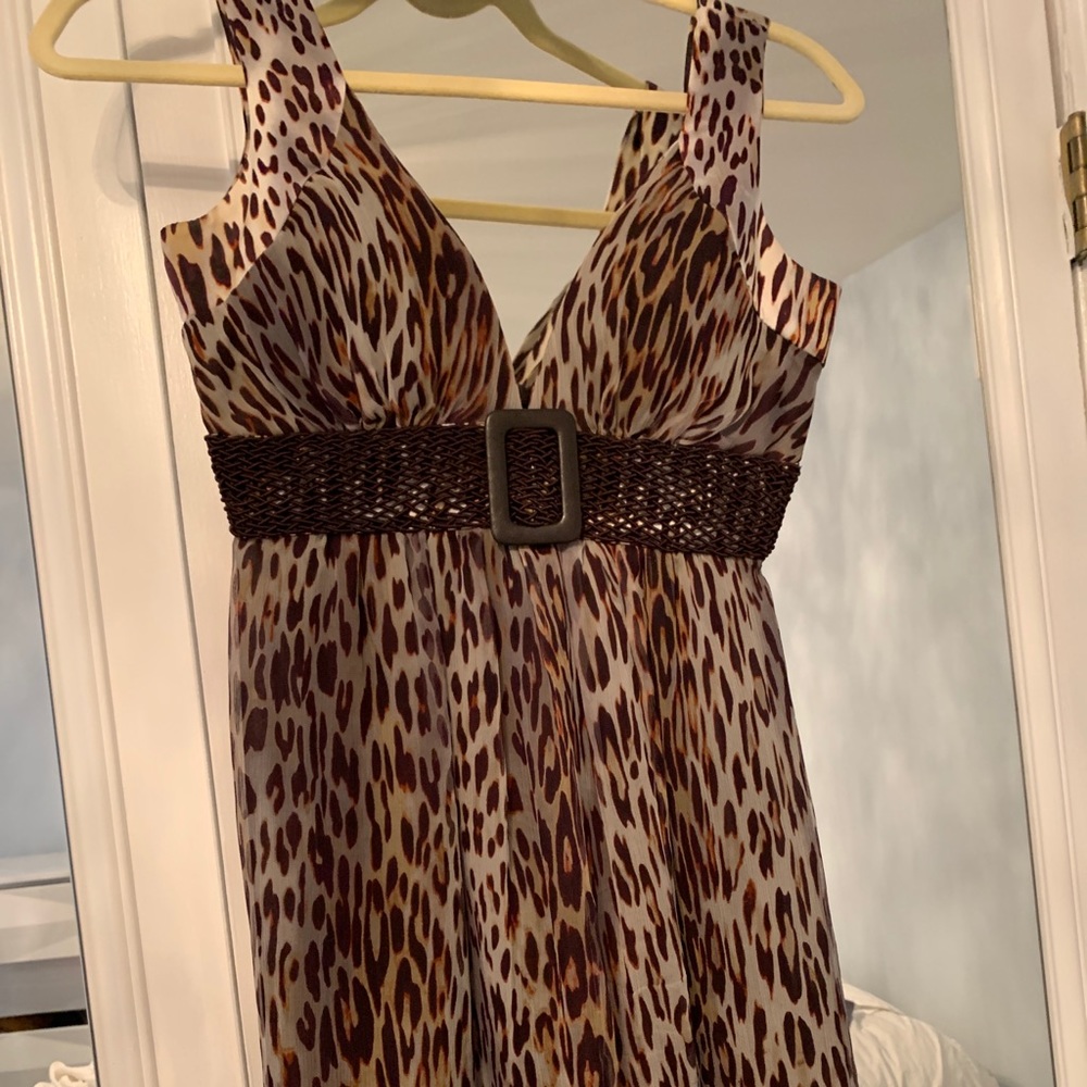 Leopard Dress - Picture 3 of 4